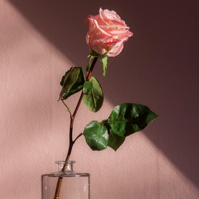 Romantic Gifts