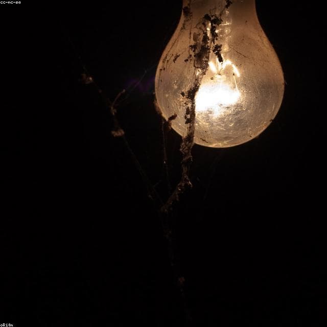 Smart LED Bulb 9W