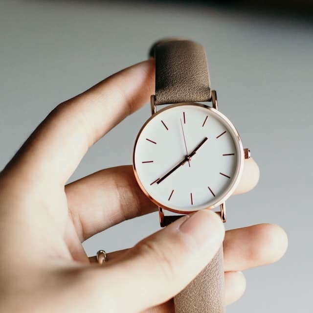 Curren Men's Luxury Watch